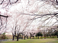 手通公園