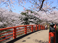 小見川城山公園