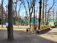 竹早公園