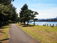 大井ふ頭中央海浜公園