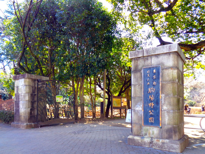 駒場野公園