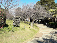 西郷山公園