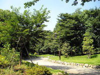 中野区立江古田の森公園