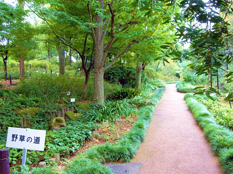 赤塚植物園