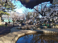 板橋区平和公園