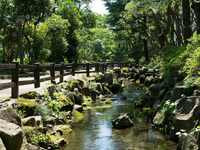 高島平緑地