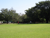 大泉さくら運動公園