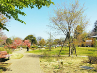 石神井松の風文化公園