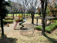 山崎自然公園