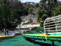 芹ヶ谷公園