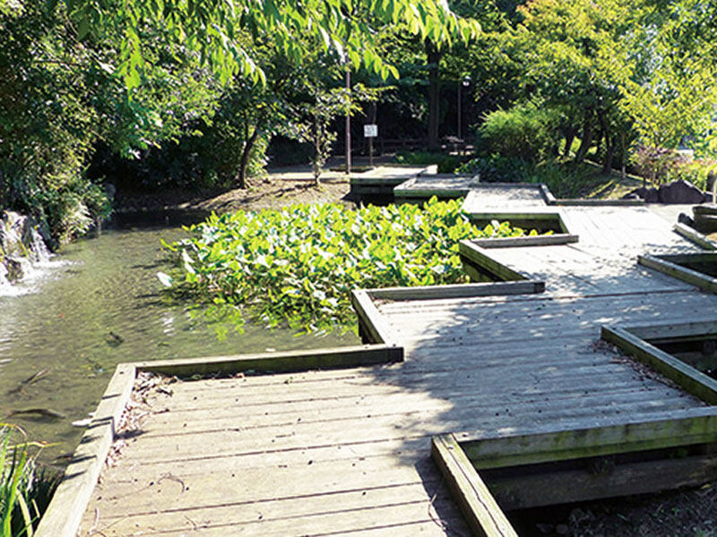 下の川緑地せせらぎ遊歩道公園