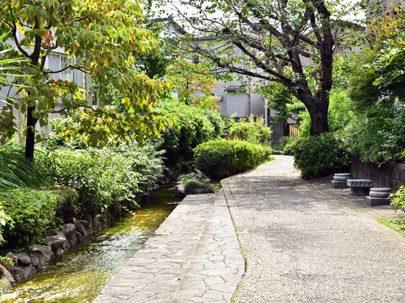 岩戸川緑地公園