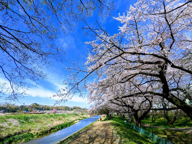 台田運動公園