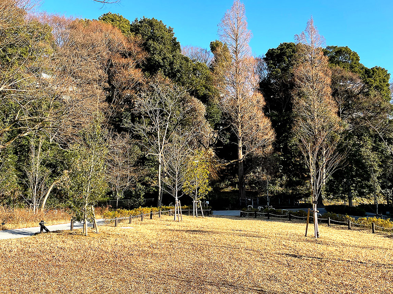 大蔵3丁目公園