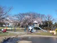 小菅東スポーツ公園