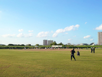 江戸川区河川公園