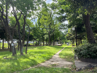 新田の森公園