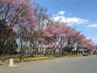 新田山公園