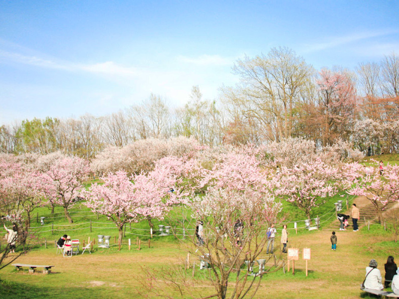 平岡公園