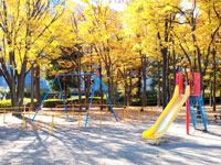 新横浜駅前公園