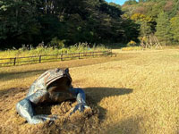 黒川よこみね緑地