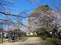 桐原公園