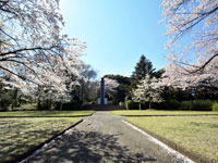 城山公園