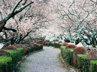 辻村植物公園