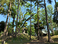 富士山公園