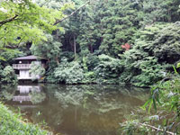 散在ガ池森林公園