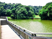 夫婦池公園