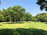 池子の森自然公園