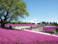 北部運動公園