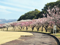 桐生市南公園