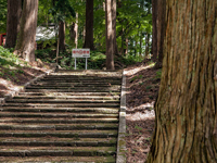 耕雲寺森林公園