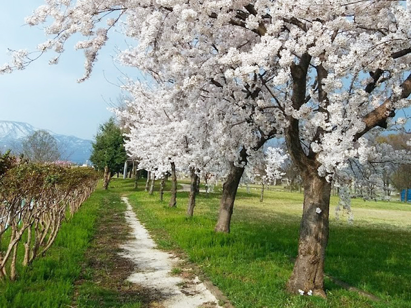 戸野目公園