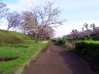 新堀川公園