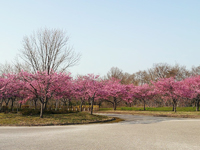 清潟公園