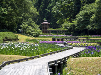 しらさぎ森林公園