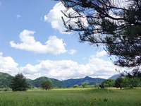 早出川河川敷公園