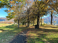 かまくら桜ヶ丘公園