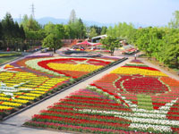 砺波チューリップ公園