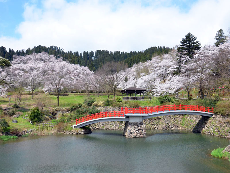 城山公園