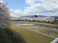 小矢部川公園