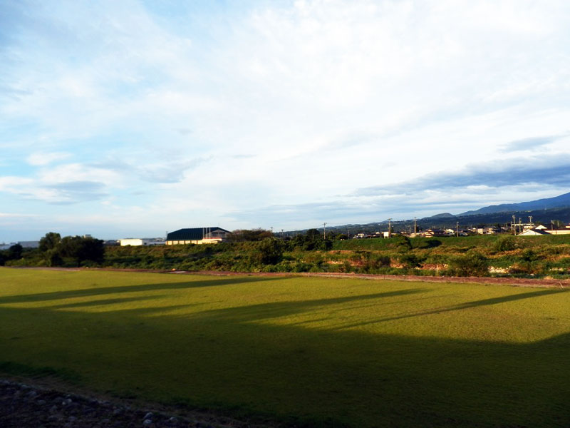 上市川緑地