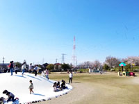 大島中央公園