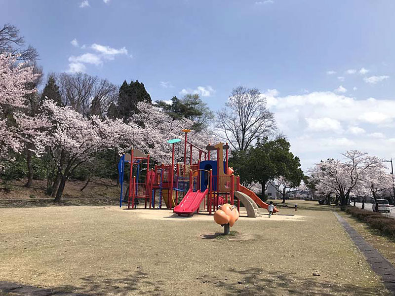 薬勝寺池公園