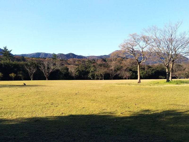 三里浜ハマナス公園