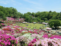 西山公園