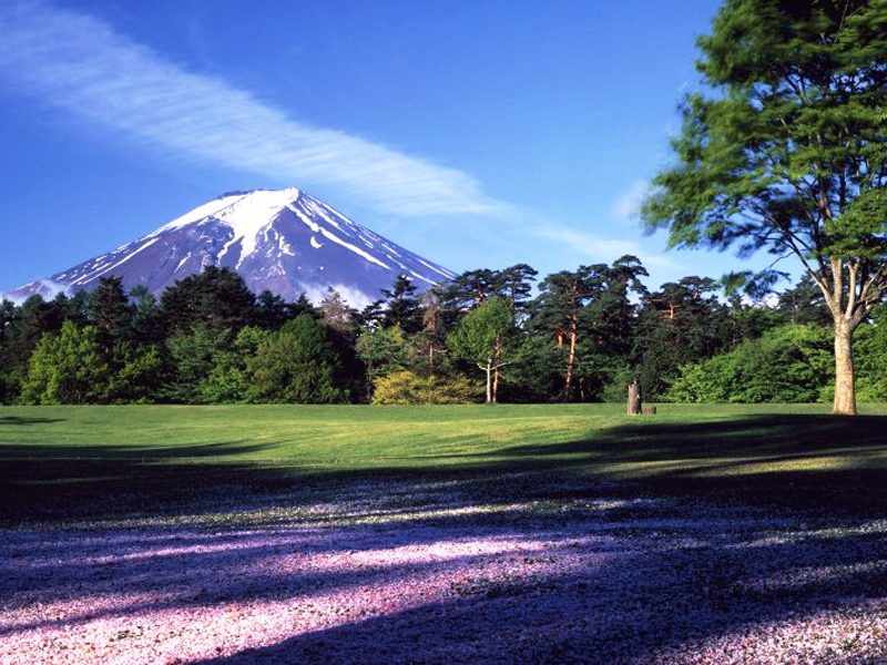 諏訪の森自然公園